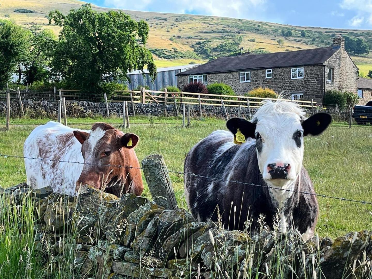 Riding House Farm Cottages Castleton  Bagian luar foto